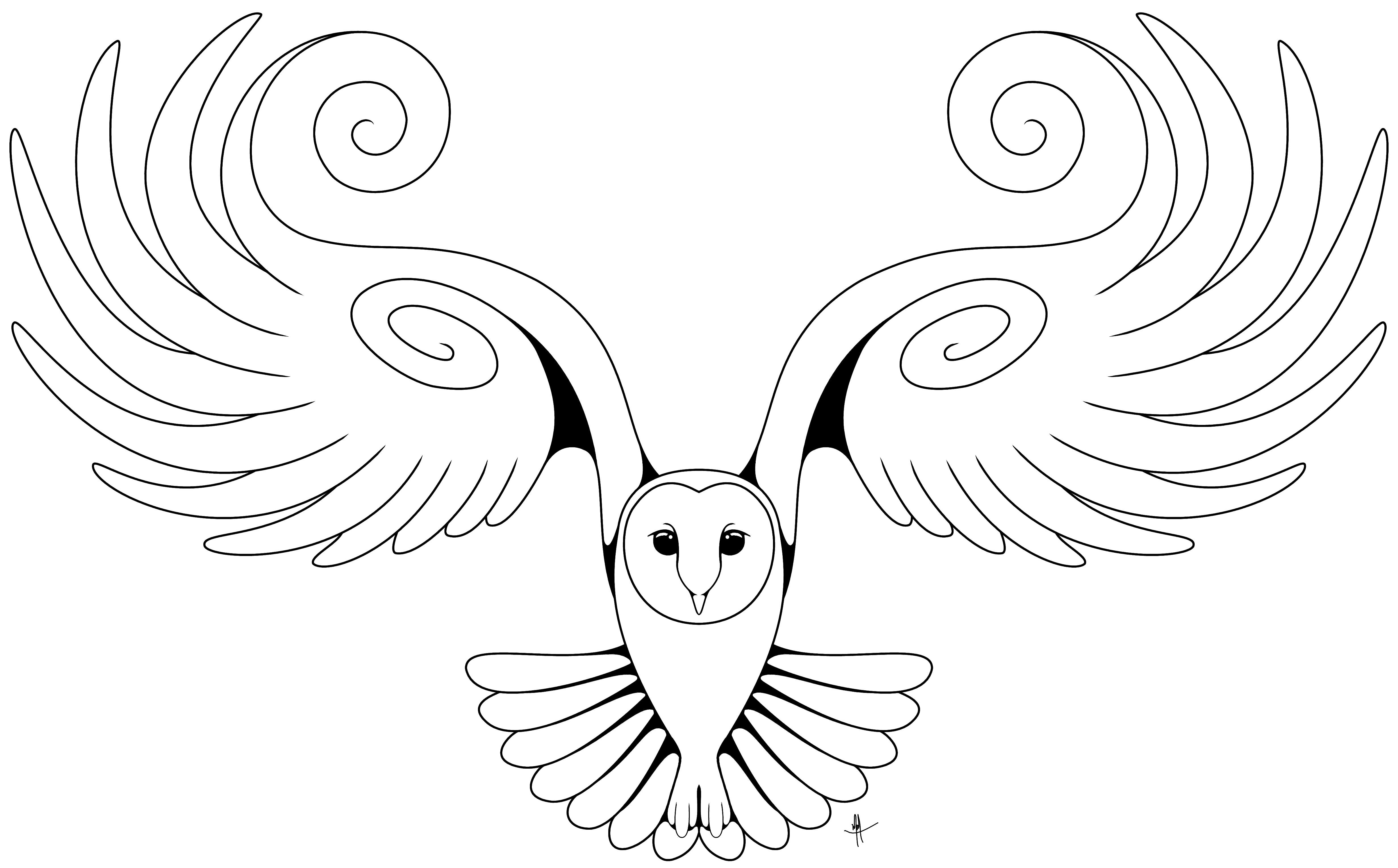 Owl Drawing Simple + Owl Drawing | Owls drawing, Owl coloring pages