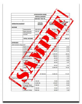 HOA Budget Best Practices Every Board Member Should Know | HOAM