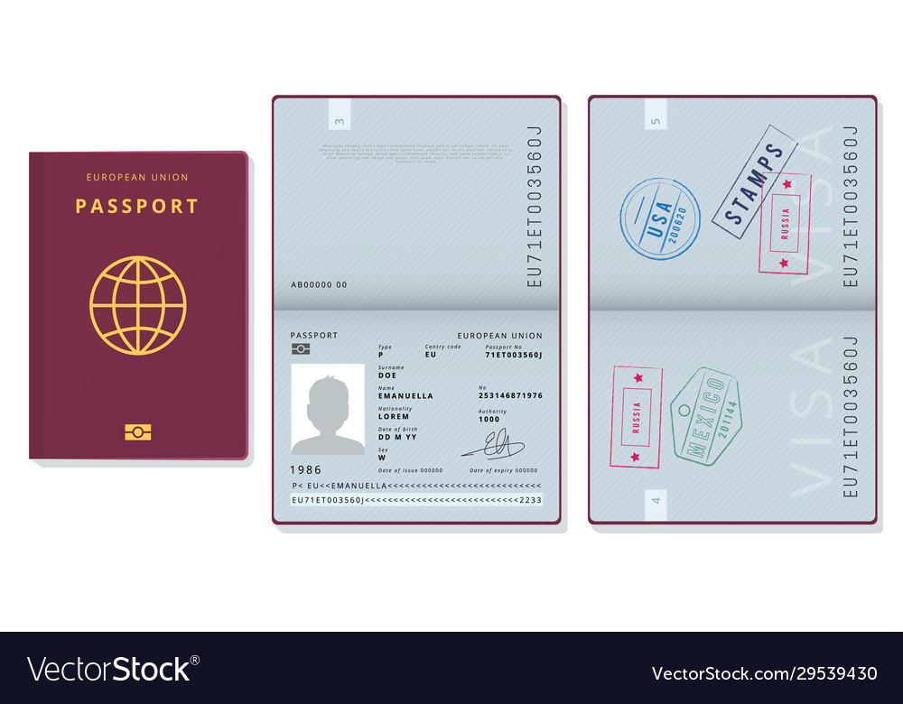 Passport template official id document visa Vector Image